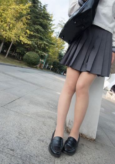 迎风的青春电视剧免费看
