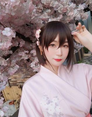 请君电视剧在线观看免费完整版