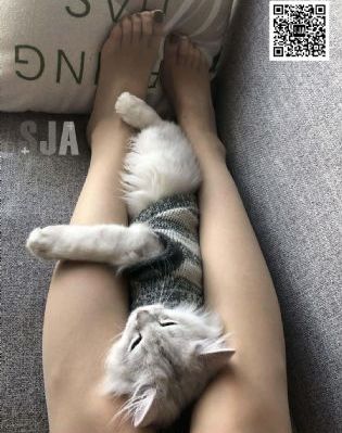 巴黎奥运会赛程表时间